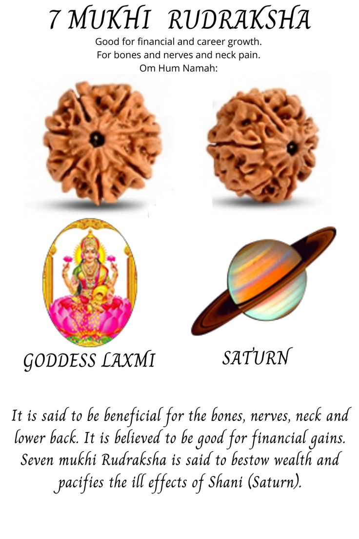 7 Mukhi Nepal Rudraksha (Collective)