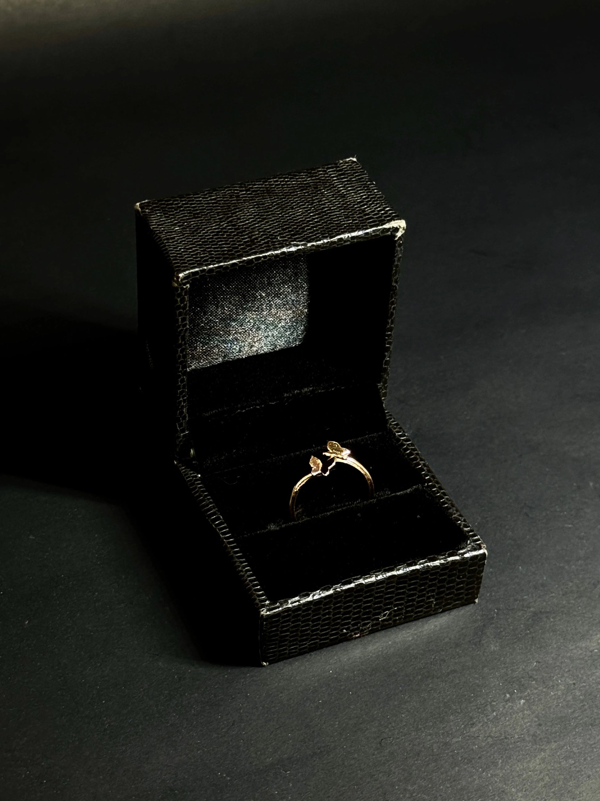 Rose Gold vermeil ring featuring two small butterflies on a dainty band on black background.